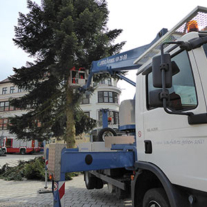 Baumfest auf dem Marktplatz Suhl