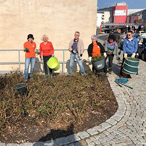 Freie Wähler Suhl pflegen das Rosenbeet am Suhler Waffenmuseum (Foto: Brigitte Günkel)