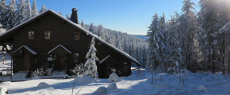 Winterwald (Foto: Brigitte Günkel)