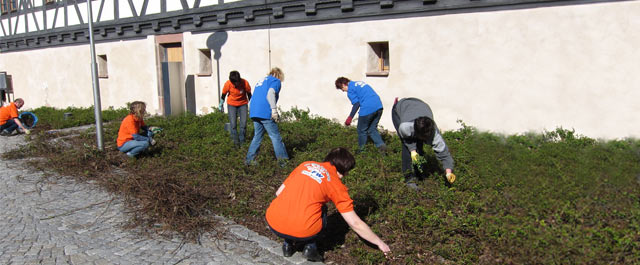 Arbeitseinsatz "Rosenbeet am Waffenmuseum Suhl" | Foto: Brigitte Günkel