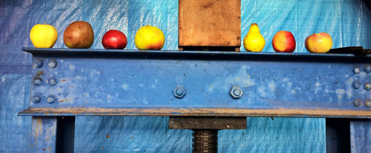 Mosterei Linde Dietzhausen