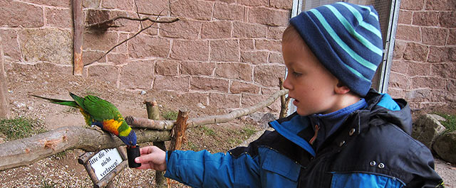 Tierpark Suhl (Foto: Brigitte Gnkel)